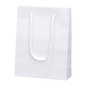 ブライトバッグMM シロ 006138301