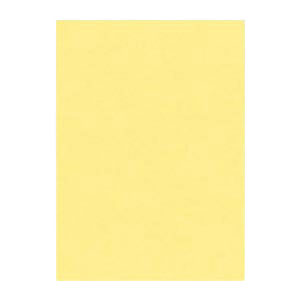 文運堂 色画用紙 ニューカラー 4切 クリーム 4NCR-101