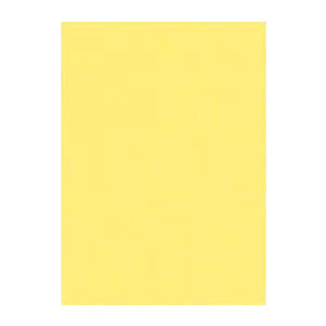 -------------------------------------------------------------- 画像はイメージです。 ※ PC環境により実際の色味や質感と異なって表示される場合がございます。 ※ 部品・パーツなどの一部の商品では本体の商品画像を使用しております。 ※ 製品の仕様・画像・パッケージは、メーカー側から予告なく変更される場合があります。 -------------------------------------------------------------- ■ 入数： 100枚■ 本体色(軸色)： きいろ■ 規格： 四ツ切■ 外寸： 縦542×横392mm 【メーカー・ブランド】 文運堂 / ぶんうんどう / ブンウンドウ いろ画用紙 / デザイン用品・画材 【#154】