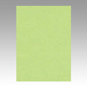 文運堂 色画用紙 ニューカラー 4切 わかくさ 4NCR-243