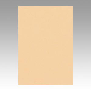 文運堂 色画用紙 ニューカラー 8切 しらちゃ 8NCR-111