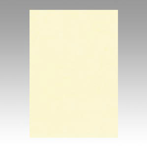 文運堂 色画用紙 ニューカラー 8切 うすクリーム 8NCR-112