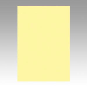 -------------------------------------------------------------- 画像はイメージです。 ※ PC環境により実際の色味や質感と異なって表示される場合がございます。 ※ 部品・パーツなどの一部の商品では本体の商品画像を使用しております。 ※ 製品の仕様・画像・パッケージは、メーカー側から予告なく変更される場合があります。 -------------------------------------------------------------- ■ 入数： 100枚■ 本体色(軸色)： ライトイエロー■ 規格： 八ツ切■ 外寸： 縦392×横271mm 【メーカー・ブランド】 文運堂 / ぶんうんどう / ブンウンドウ いろ画用紙 / デザイン用品・画材 【#154】