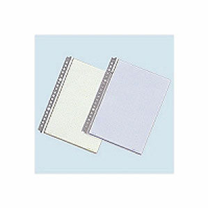 LIHIT LAB リヒトラブ ルポ・リーンフォース・クリヤーポケット A5 グレー N-2010