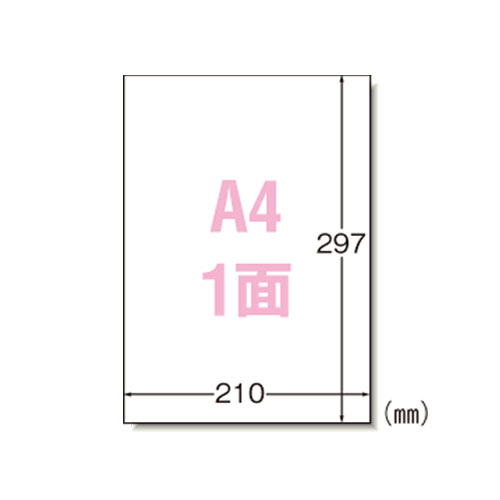 Labels - エーワン マルチプリンタラベル ノーカット 1000シート入 31151