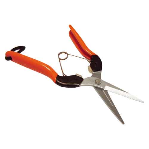 ���ܥƥ� ���ڤϤ��� AG-8