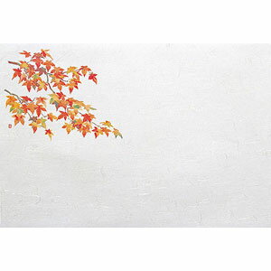 ヤマコー 尺5四季懐石まっと 紅葉 100枚 65185