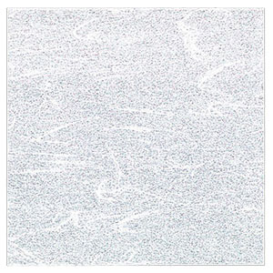 ヤマコー 両面ラミ敷紙 白色 10cm角 100枚 65764