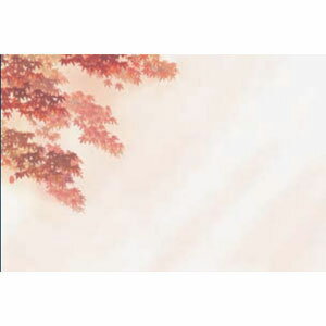 ヤマコー 尺3花雅（はなみやび）懐石まっと 赤もみじ 100枚 66457