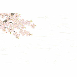 ヤマコー 尺3 花便り四季彩まっと 桜 100枚入 66625