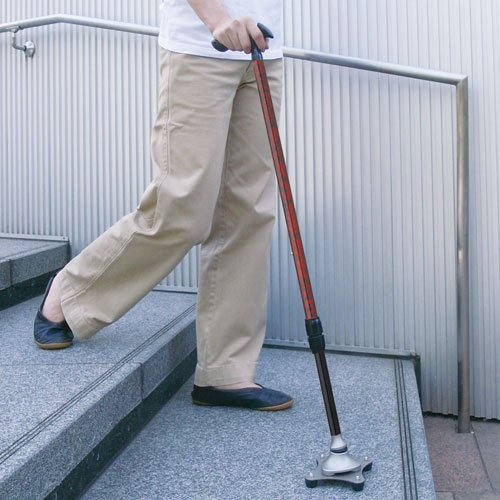 フジホーム かるがも4ポイント ステッキ 伸縮 バーズアイレッド WB3827