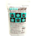 地の塩社 アルカリウォッシュ 1kg
