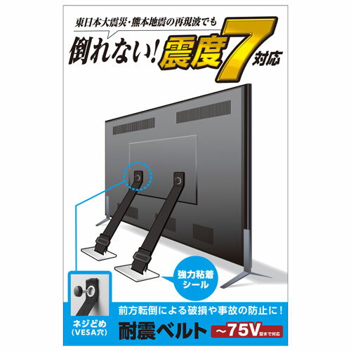 エレコム ELECOM TV用耐震ベルト ～75V用 ネジどめタイプ（VESA穴） 2本入 TS-006N