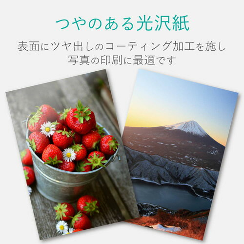 ���쥳�� ELECOM �ϥ����ѻ� ���� ���� ���ץ����� 100�� EJH-EGNH100