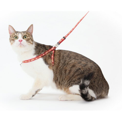 ペティオ Petio 猫小町 ハーネスリード 和桜 ガーネット 2