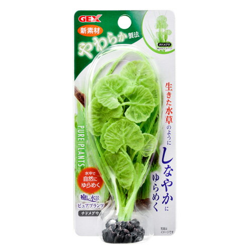 �����å��� GEX ������� �ԥ奢�ץ��� ���ɥᥰ��