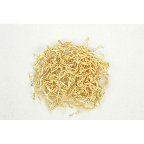 Webbyの三晃商会 サニーメイド 青パパイヤ 20g｜アングル2