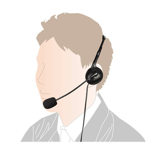 ナカバヤシ Digio2 ヘッドセット ブラック MHM-S24BK