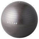バランスボール 55cm アンチバースト 筋トレ 体幹トレーニング ダイエット 専用ポンプ付き 耐荷重500kg ブラック エクリアスポーツ HCF-BB55B...