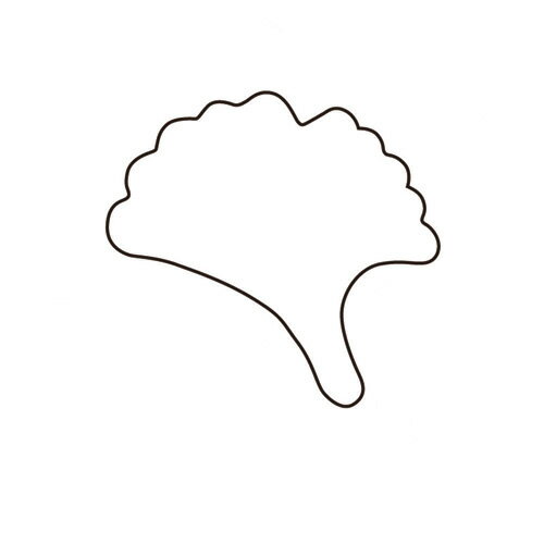 たかもりの野菜抜 銀杏 小 #1