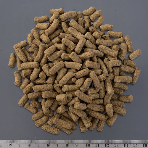 ジェックス GEX トカゲブレンドフード 200g