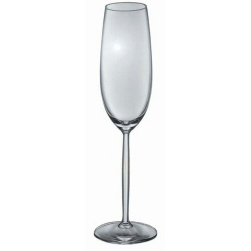 ショット・ツヴィーゼル SCHOTT ZWIESEL ディーヴァ シャンパン 6脚セット