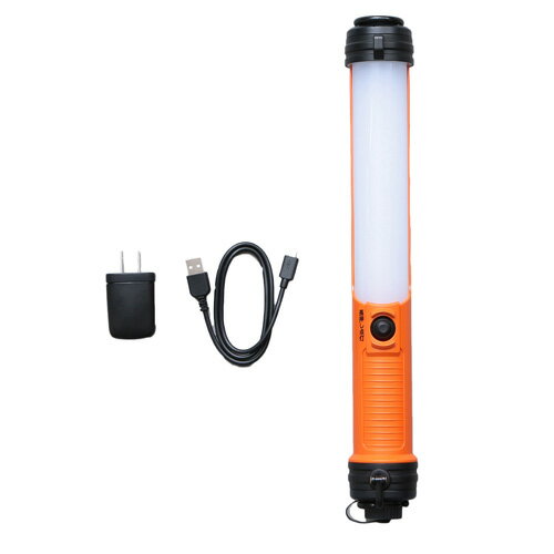 PROLEDS LWS-300SB-CH
