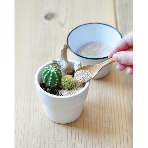 �ڥ��ꥢ��󥹥����������ƫ�� �ǥ��졼����󥵥�� ��å� RD GD-82201