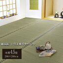メーカー直送 イケヒコ 純国産 い草 上敷き カーペット 双目織 松 本間4.5畳 (約286×286cm) 畳 たたみ(3)