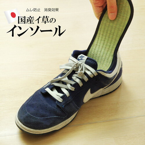 メーカー直送 イケヒコ インソール メンズ 消臭 抗菌 い草インソール ネイビー 約31cm