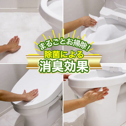 激落ちくん 流せる除菌トイレクリーナー 24枚...の紹介画像3