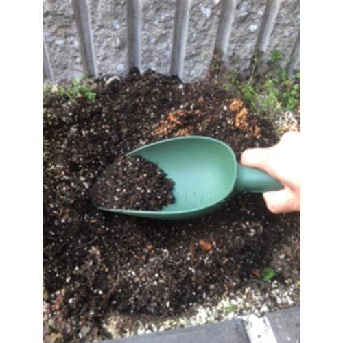 sita ���������å� A254