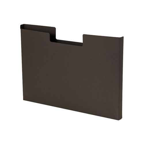 ナカバヤシ ハウスタディ 仕切りケース付ファイルボックス ベージュ HSD-FB01BE