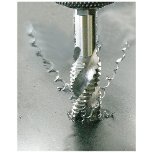 �ޡ��٥� 6�Ѽ����ѥ���륿�å� M5x0.8 6SPT-M5