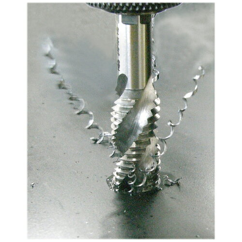�ޡ��٥� 6�Ѽ����ѥ���륿�å� M6x1.0 6SPT-M6