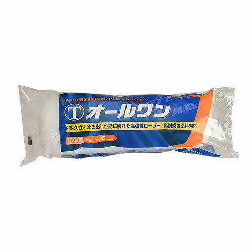 大塚刷毛製造 オールワン 20mm スモール 6S-AOA