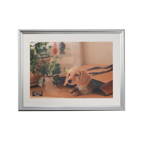 ナカバヤシ 樹脂製写真額 ワイド四ツ切判 シルバー F-SP-112-SV