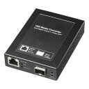 サンワサプライ 10Giga光メディアコンバータ LAN-EC2011TF
