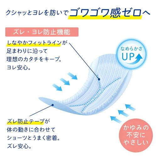 大王製紙 ナチュラ さら肌さらり ちょこっと吸水ナプキン 26cm 65cc 16枚入 2