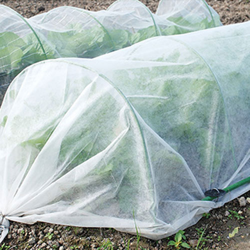 �Ѹ����Կ��� 1.8m��5m