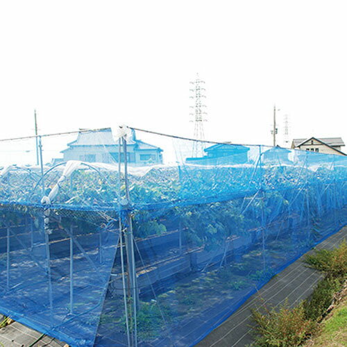 �����ͥå� �ܹ�4mm 1m��5m