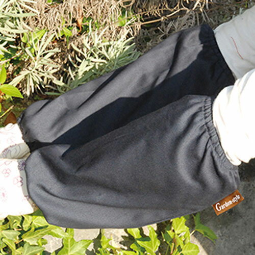 �����ǥ��ӥ��С� �ͥ��ӡ� NV