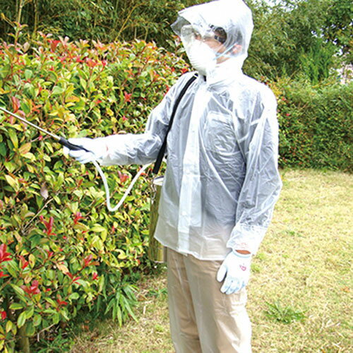 �ʰ�ʮ̸�凉���� Free