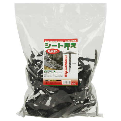 �����Ȳ��� 50����