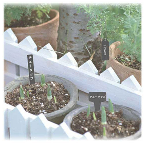 �����ǥ� ����٥� Y�� �� 10����