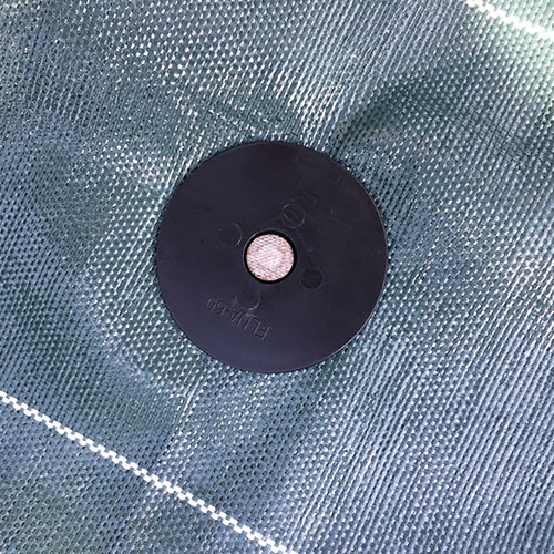 ���𥷡��Ȳ���ţ�ѥѥå� 10����