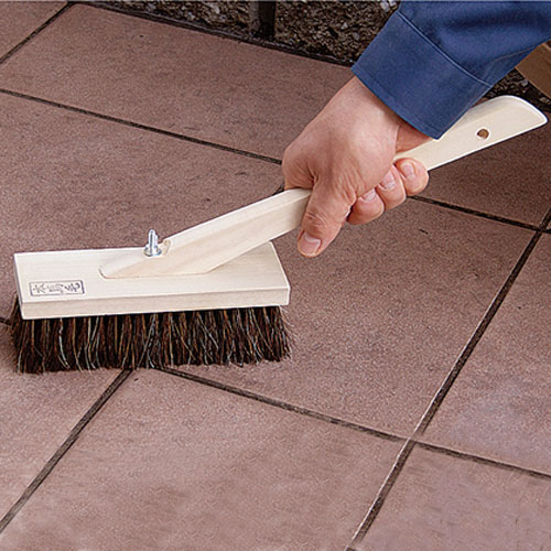 �����֥饷 ���������� 1/4�� 2�� ���դ�