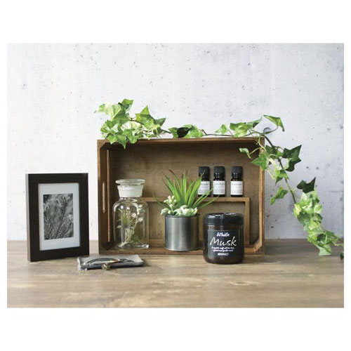 �A���}�X�g �z���C�g���X�N 160ml