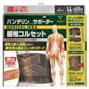 興和新薬 バンテリンサポーター腰椎コルセットLL ブラック(4)