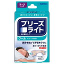 佐藤製薬 ブリーズライト クール ラージ 10枚入